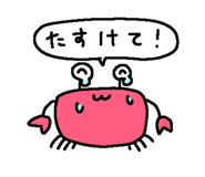 803677427