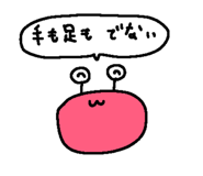803677428