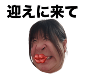 803678883