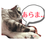 803711251