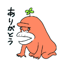 8037204