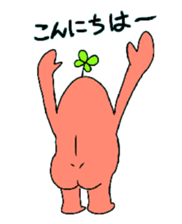 8037205