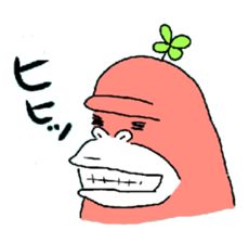 8037212