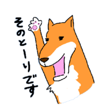 8037232