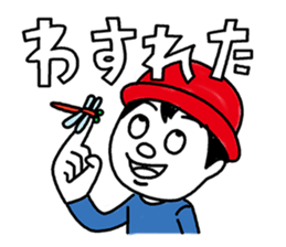 8037431