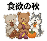 803762540