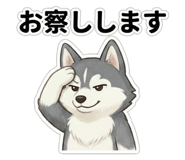 803762564