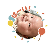803765278