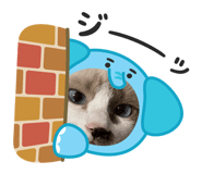 803784719