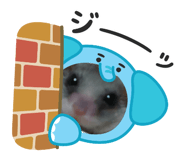 803791127