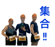 803798506