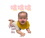 803815632