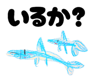 803823592