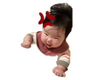 803832594