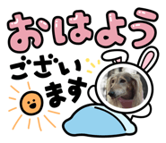 803833301