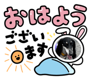 803833305