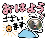 803833306