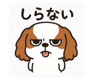 803834865