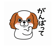 803834872