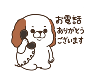 803834876