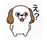 803834884