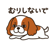 803834888