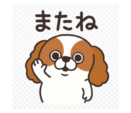 803834892