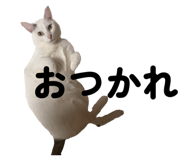 803839856