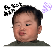803843016