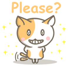 8038491