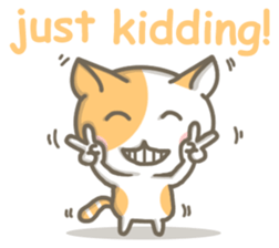 8038501