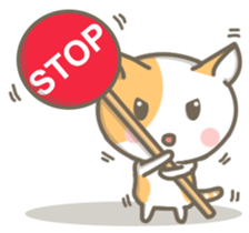8038509
