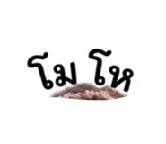 803855705