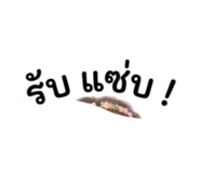 803855709