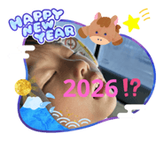 803873583