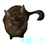 803875338