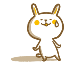 8038778
