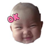803883677