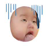 803889395