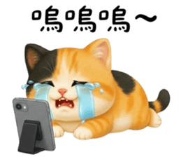 803914333