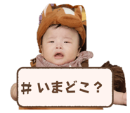 803962476