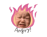 804003638