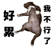 804007756