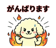 804016716