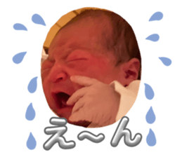 804034435