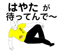 80404515