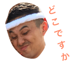 80405247