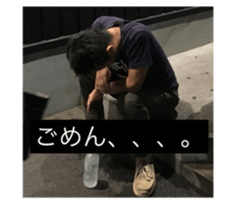 80405264