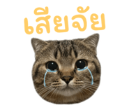 804056436