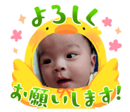 804071125